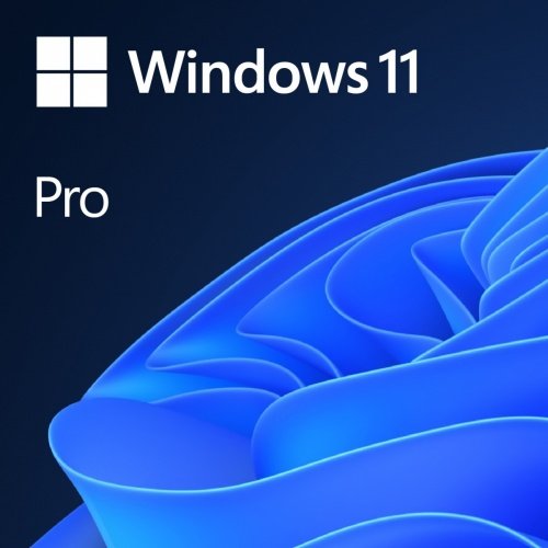 Microsoft Windows 11 Pro, 64 bits – Licencia digital (ESD)
